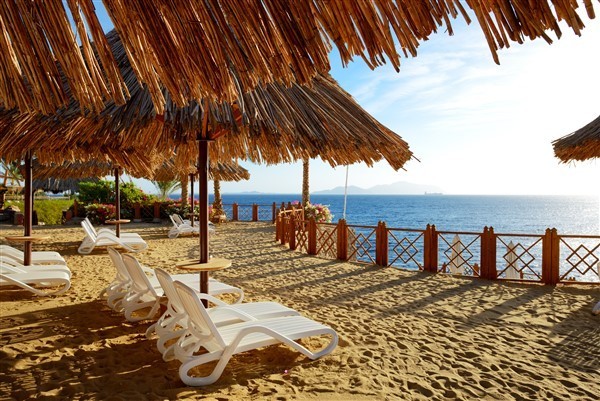 שארם א שייח מחכה לכם שארם א שייח מחכה לכם